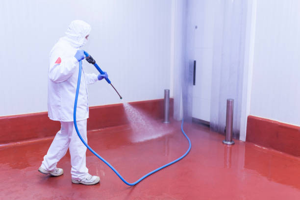 Best Building Exterior Washing  in Sachse, TX